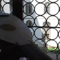 11-DSC_0660
