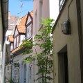 19IMG_2334.D