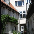 20IMG_2336.D